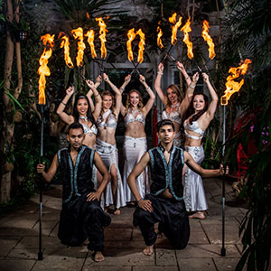 Belly Dance belly
