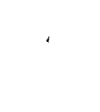 Twisted Cirque